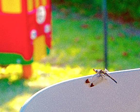 芦屋プラン株式会社 宇治市植物公園
